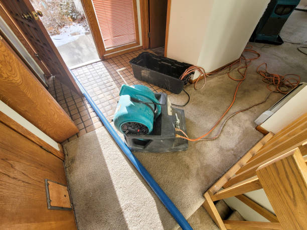 Best Flooded house restoration  in Nedrow, NY