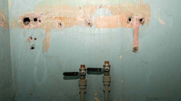 Best Commercial water damage restoration  in Nedrow, NY