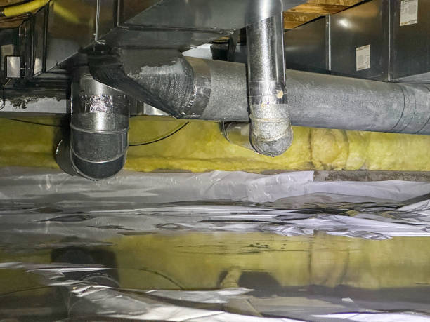 Best Water damage restoration near me  in Nedrow, NY