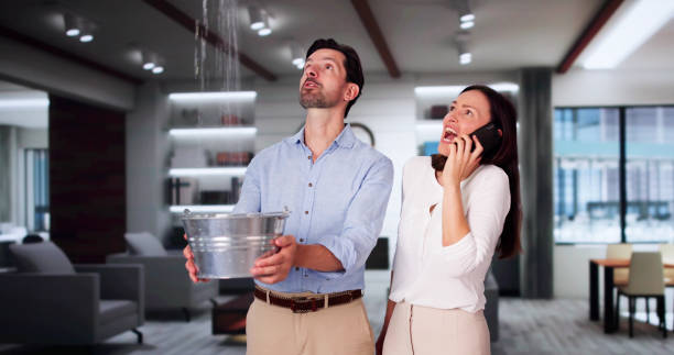 Best Fire Damage Restoration  in Nedrow, NY