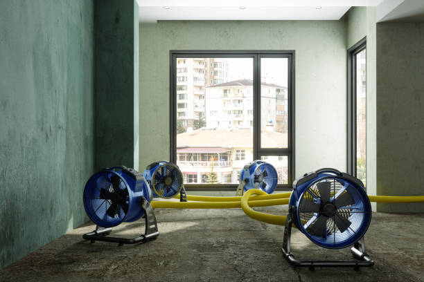 Best Water damage restoration near me  in Nedrow, NY